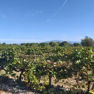 maison-dans-les-pins-avec-piscine.fr-provencehotel.com/